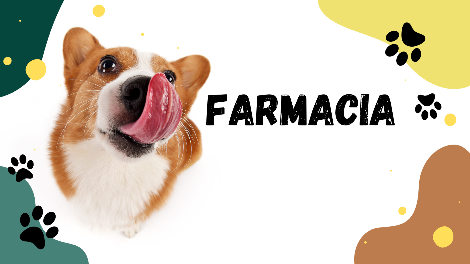 farmacia